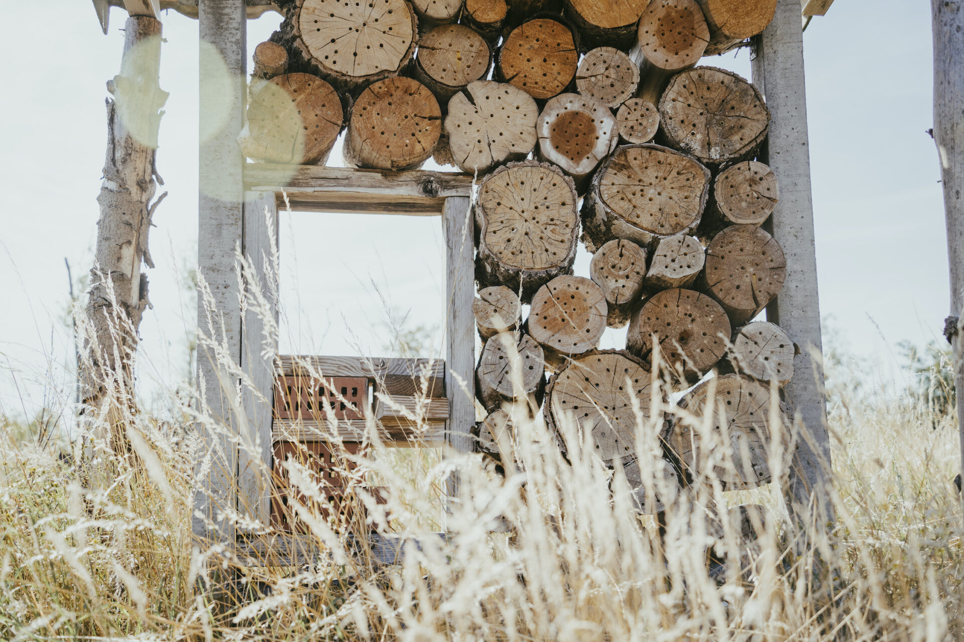 Bijenhotel - Natuurkampeerterrein Klein Schoor-15 © Voor Altijd en Eeuwig - Megan