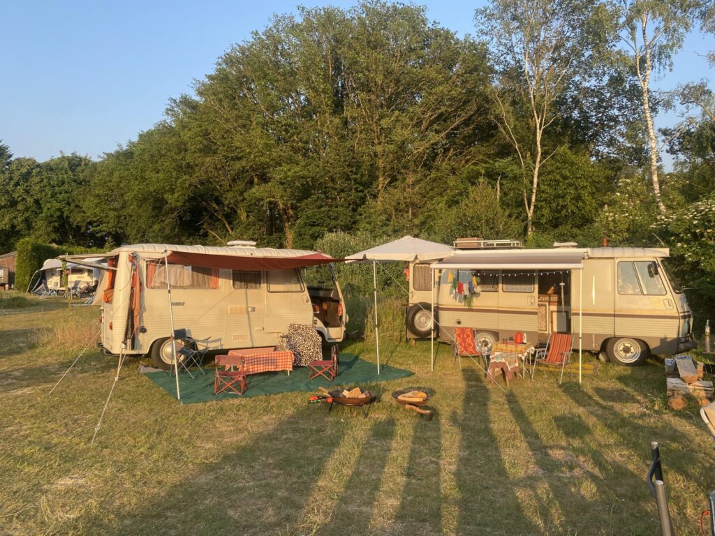 Leuke busjes Leuke busjes op Klein Schoor