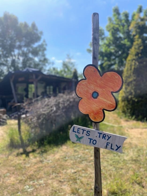 Oranje Bloem plek - Lets try to fly