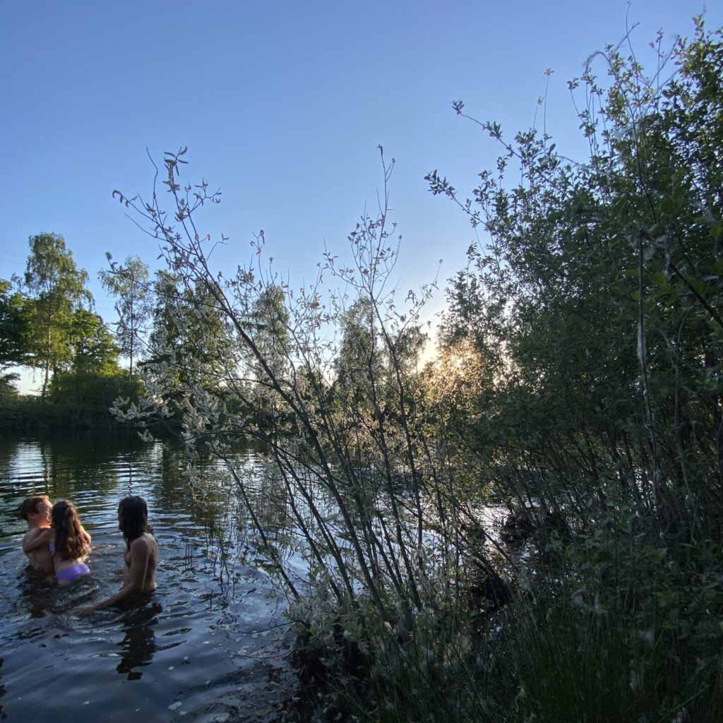 Zwemmen in de vijver bij zonsondergang Zwemmen bij zonsondergang in de natuurlijke zwemvijver