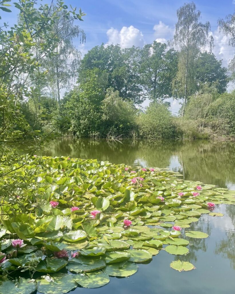 Vijver Vakantiewoning Natuurkampeerterrein Klein Schoor